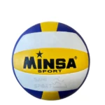 Ballon de volley
